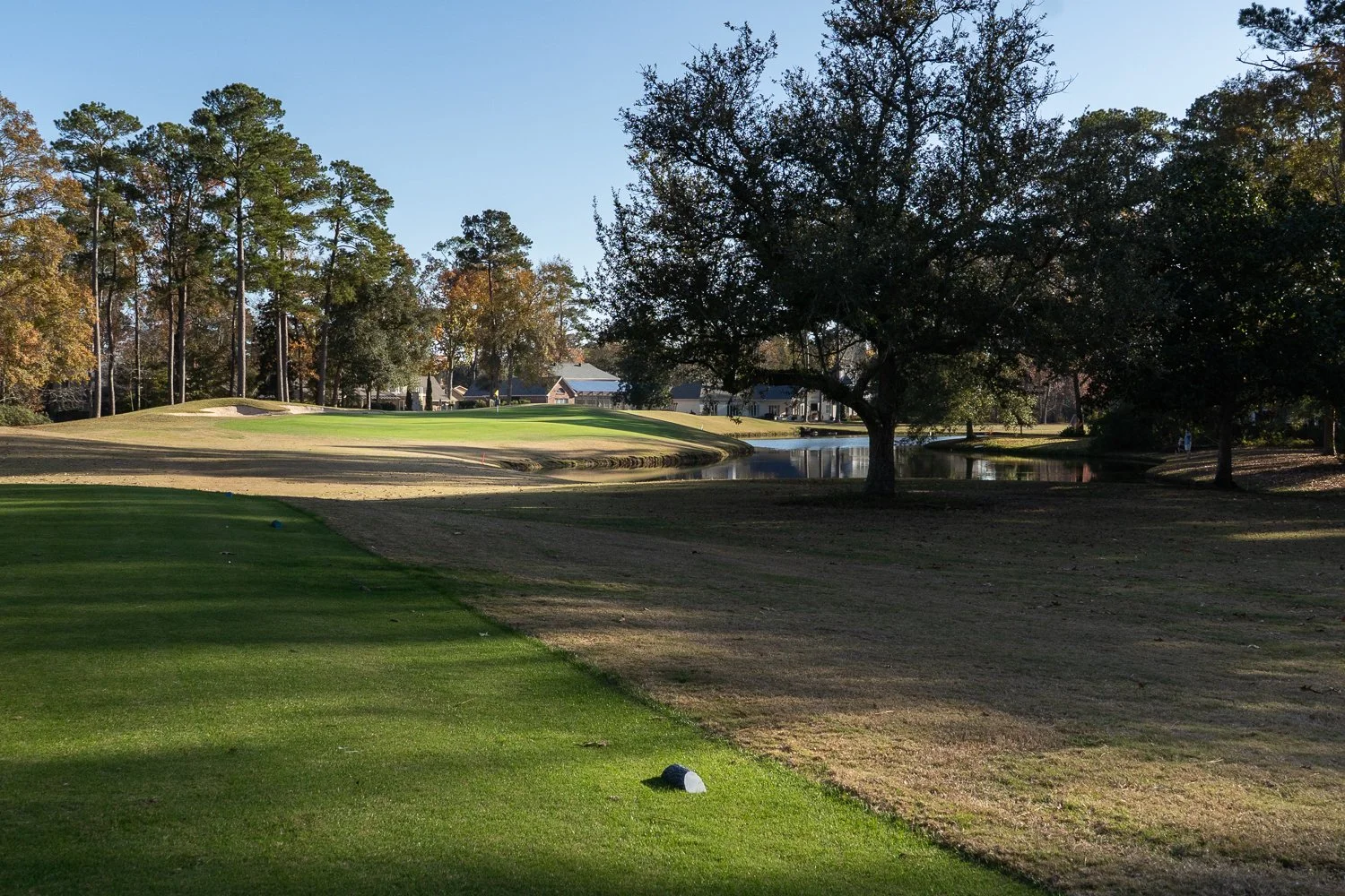WeSnapGolf_BC_Magnolia_1500p-6.jpg