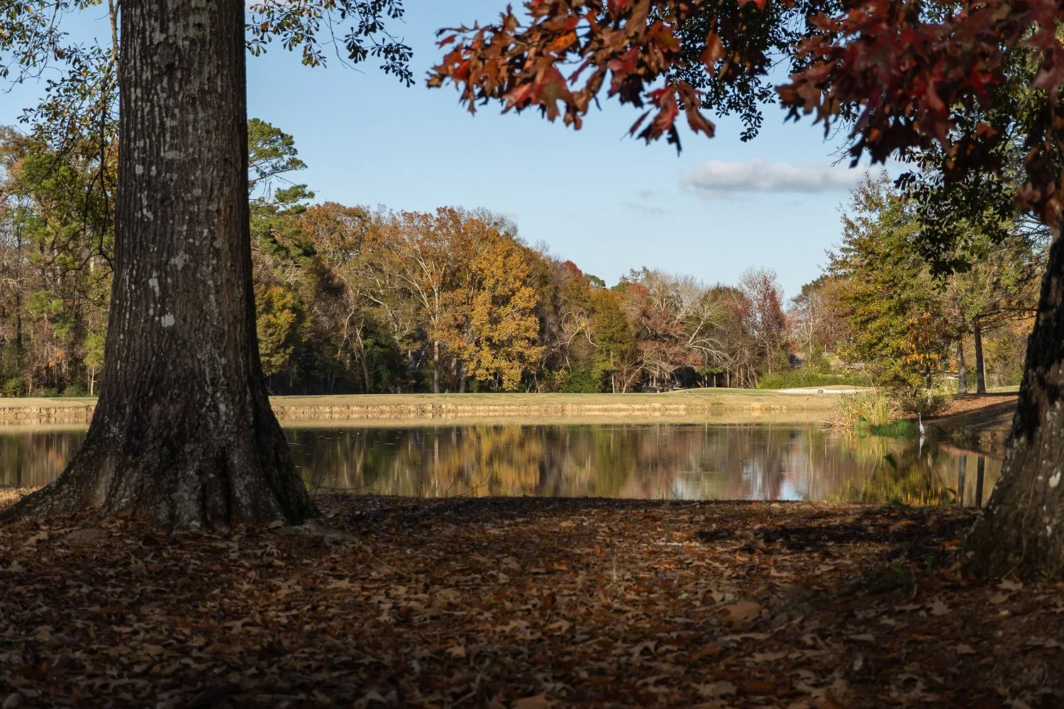 Beau Chene Magnolia Golf Course