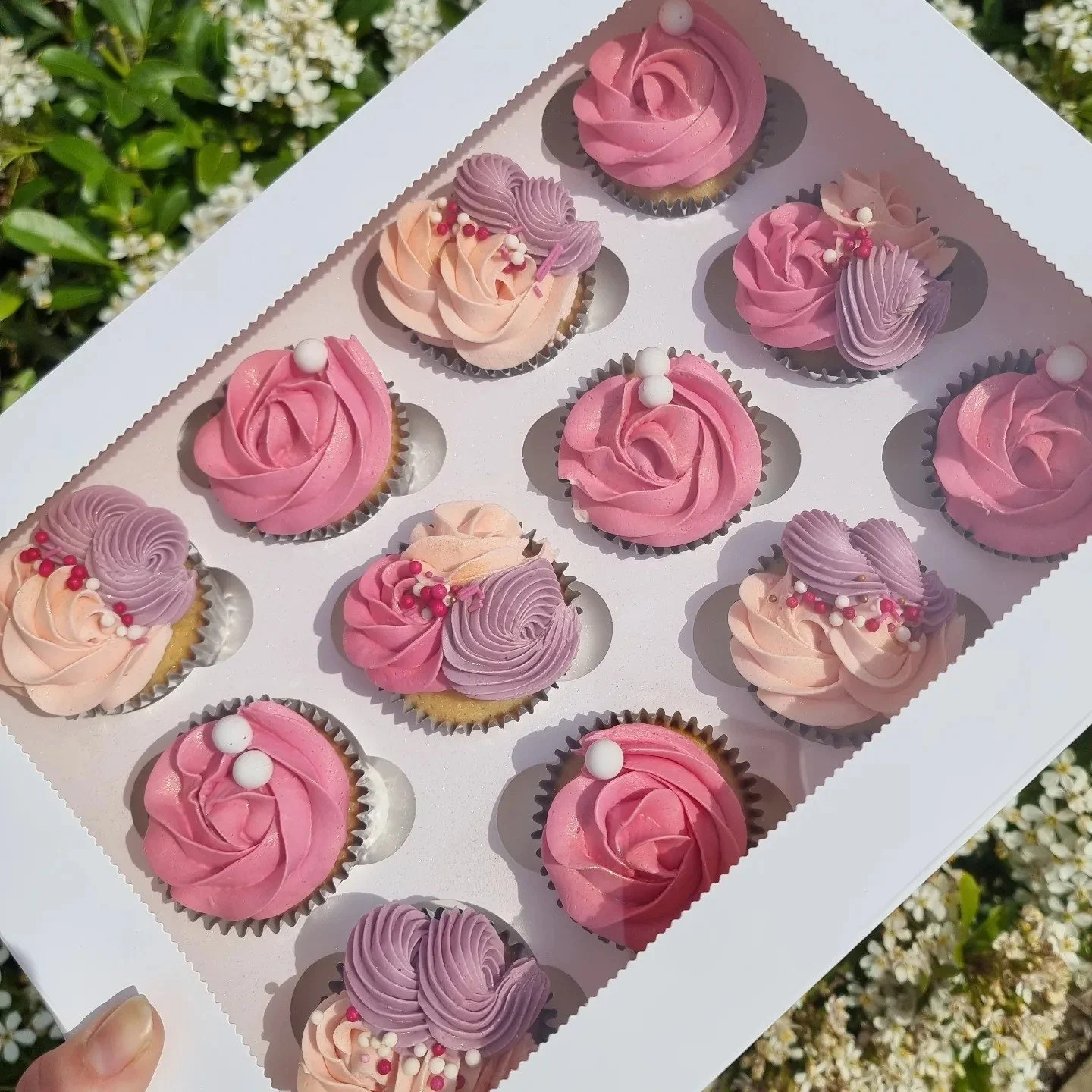 pinkpurplecupcakes.jpg