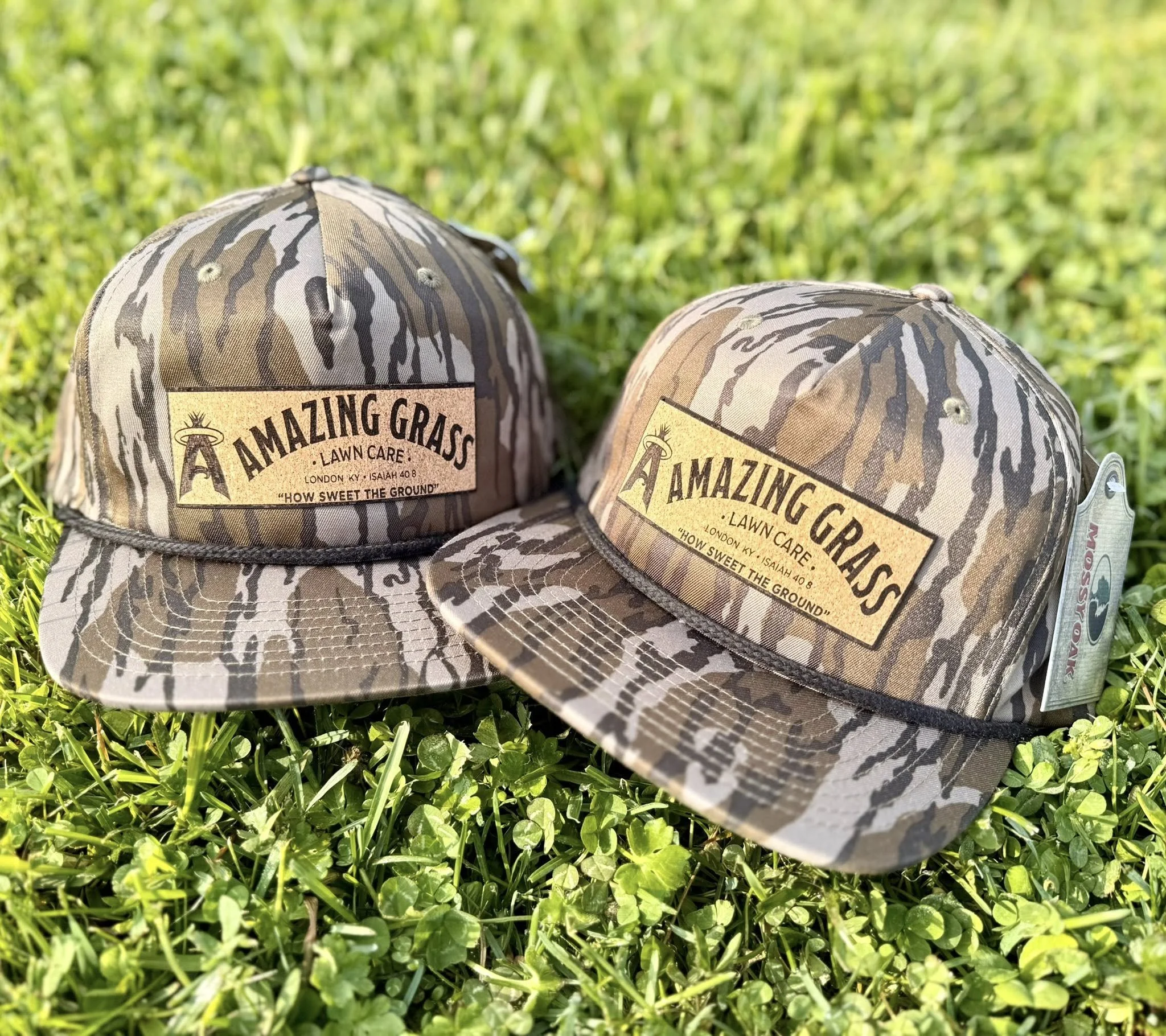 Amazing Grass Cork to black.jpg