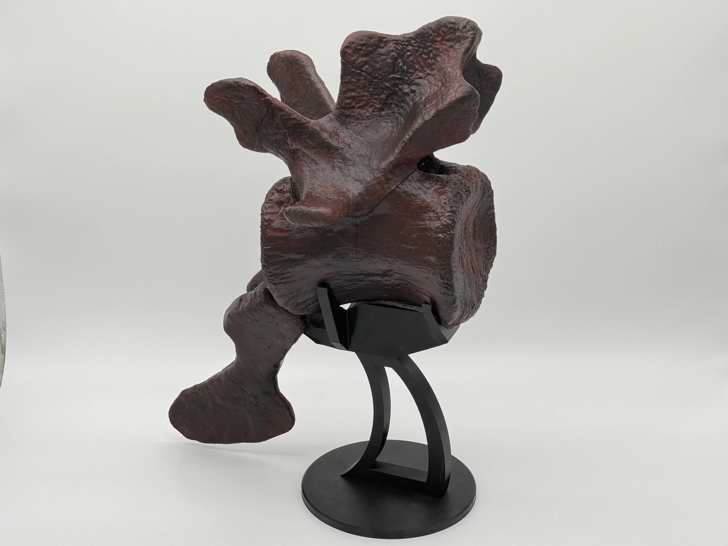 Tyrannosaurus rex Caudal Kit – The Power Behind the Bite