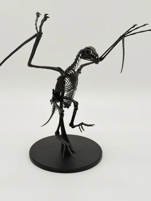 Skeleton Buildar Bio Build Studios