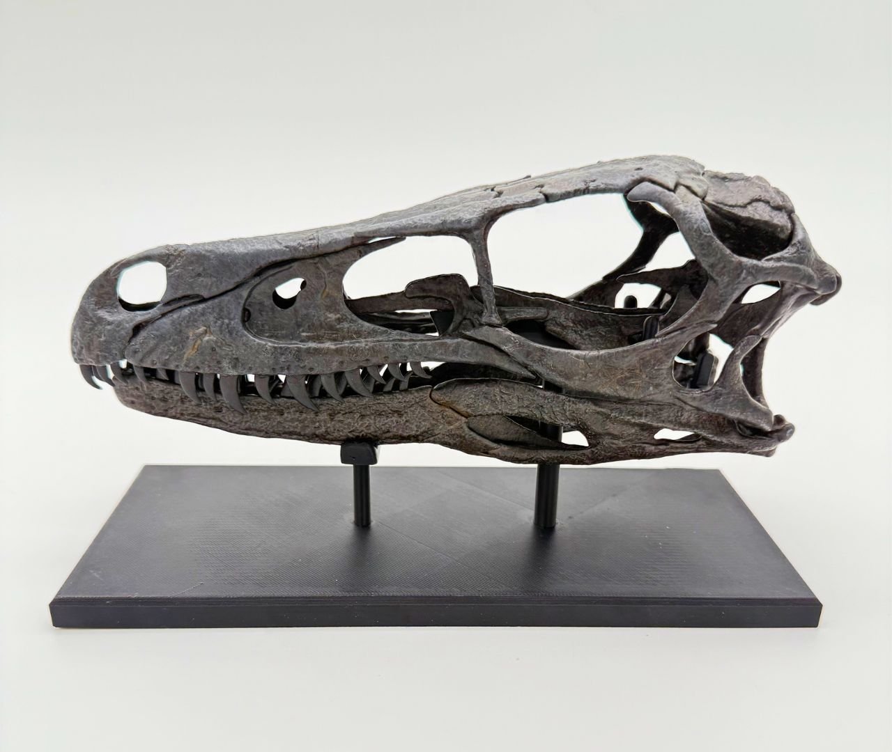 velociraptor-main.jpg