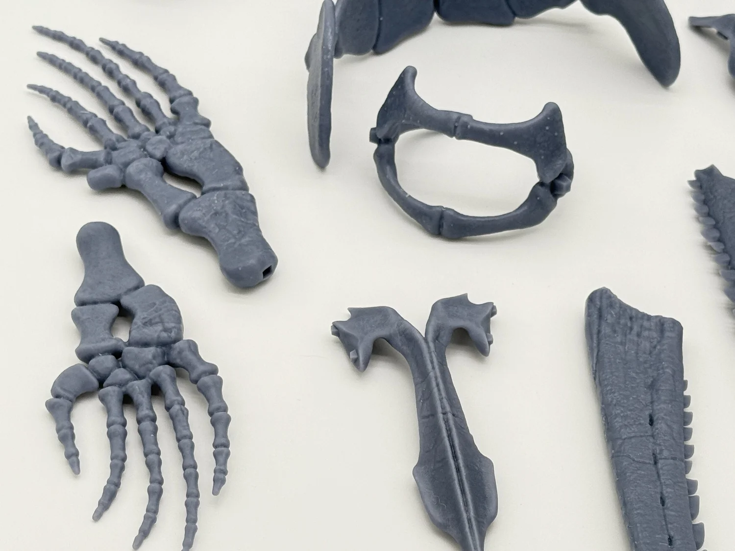 Signature Series: Xenodens Skeleton – The Smallest Mosasaur Ever