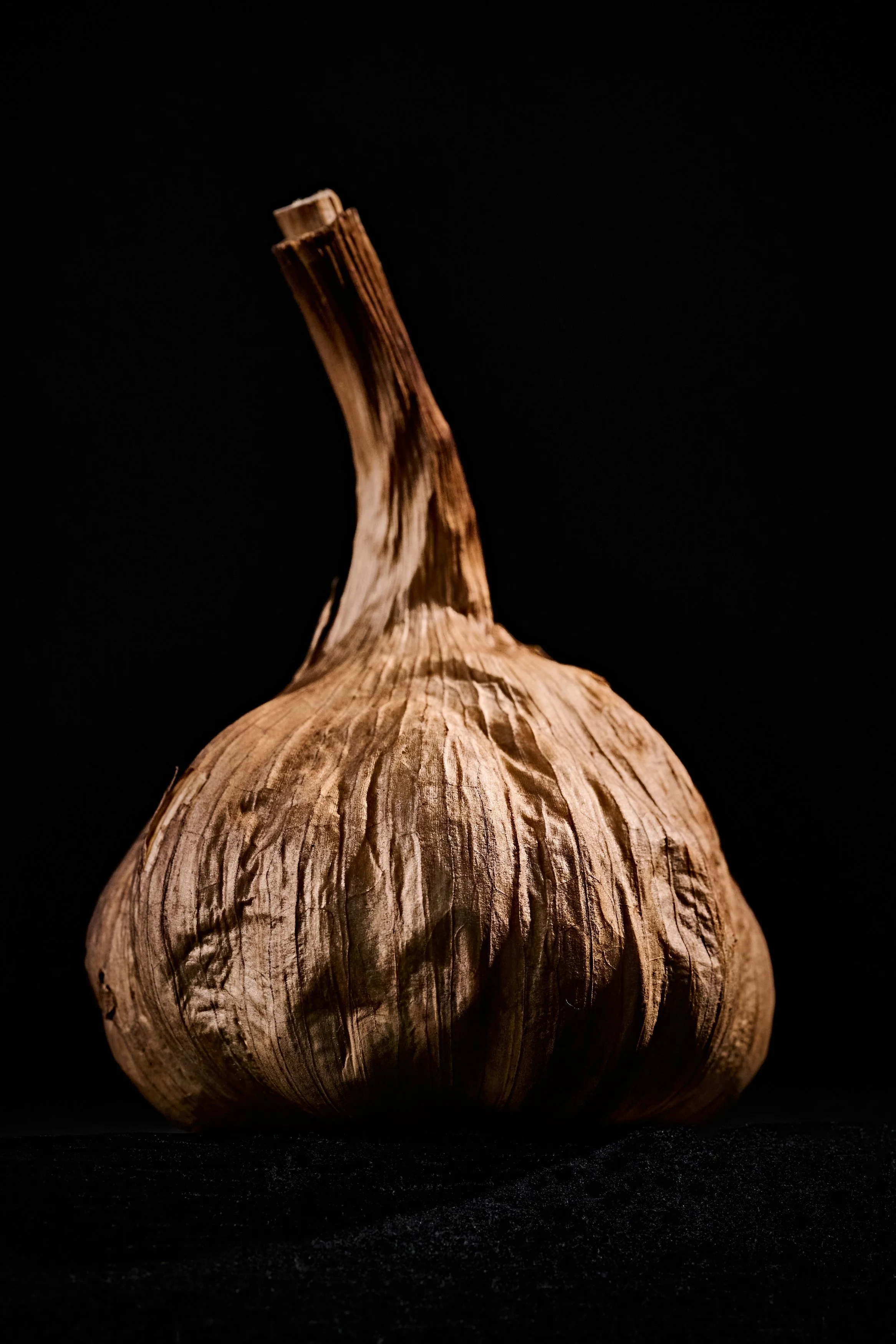 Cabeza de ajo sobre fondo negro.