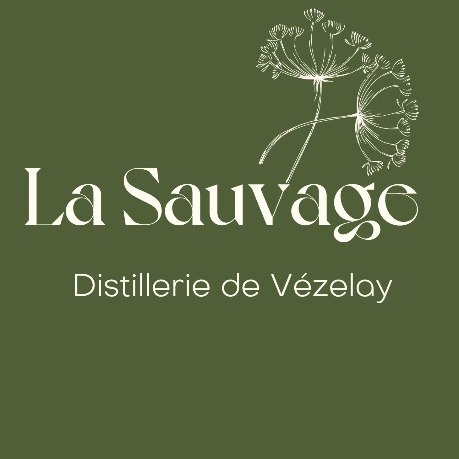 Logo vert avec des illustrations de feuilles de fenouil blanches et le texte 'La Sauvage' en grand, 'Distillerie de Vézelay' en plus petit.