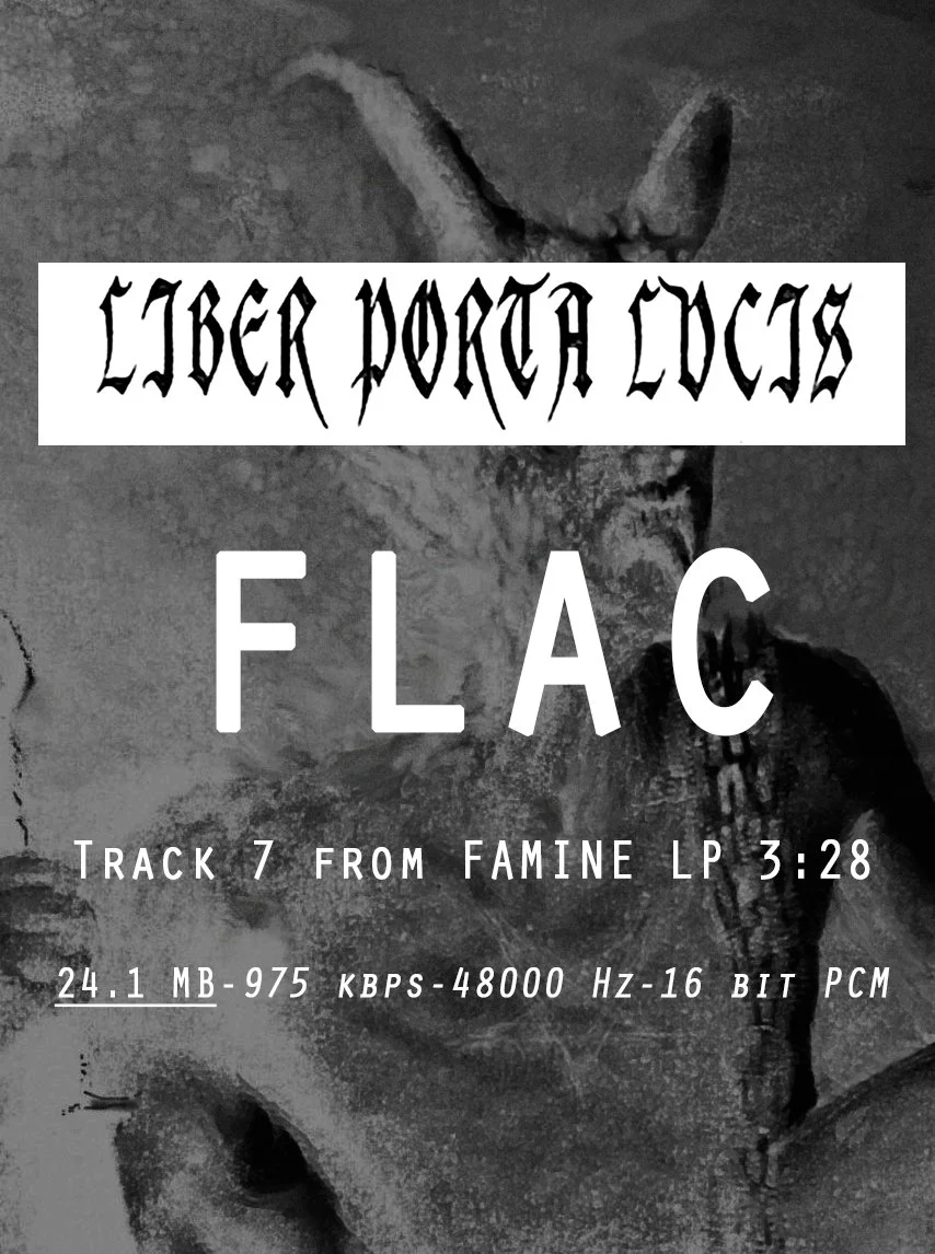 07 LIBER PORTA LVCIS FLAC