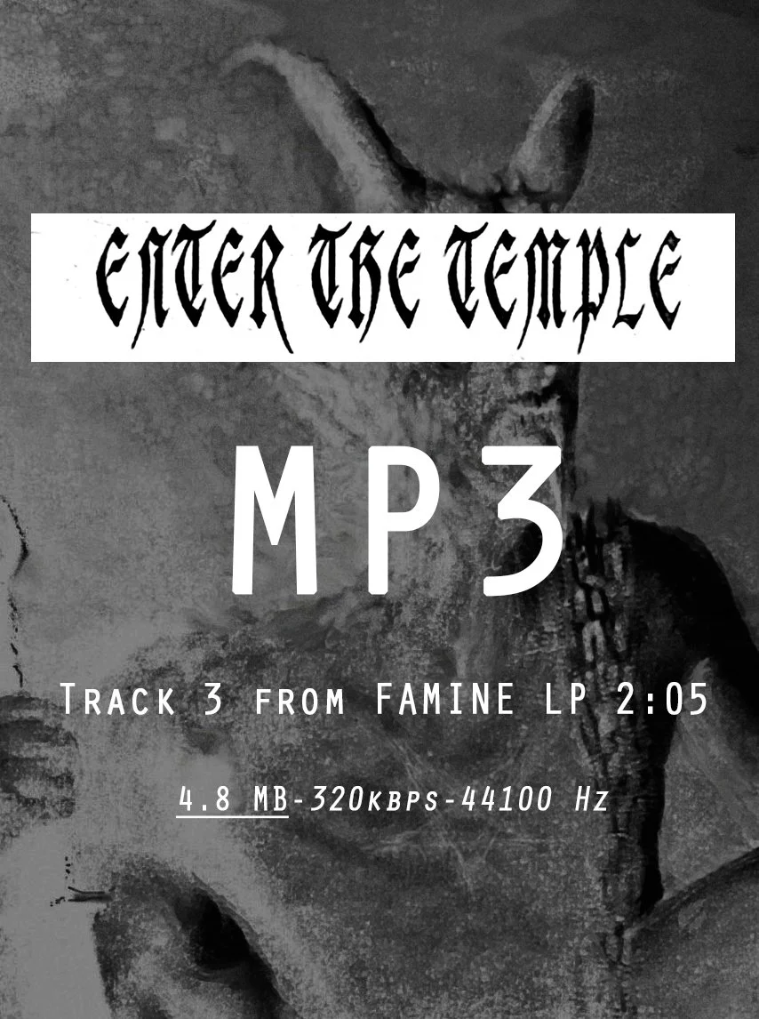 03 ENTER THE TEMPLE MP3