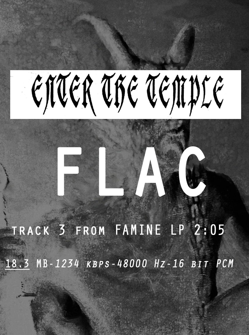 03 ENTER THE TEMPLE FLAC