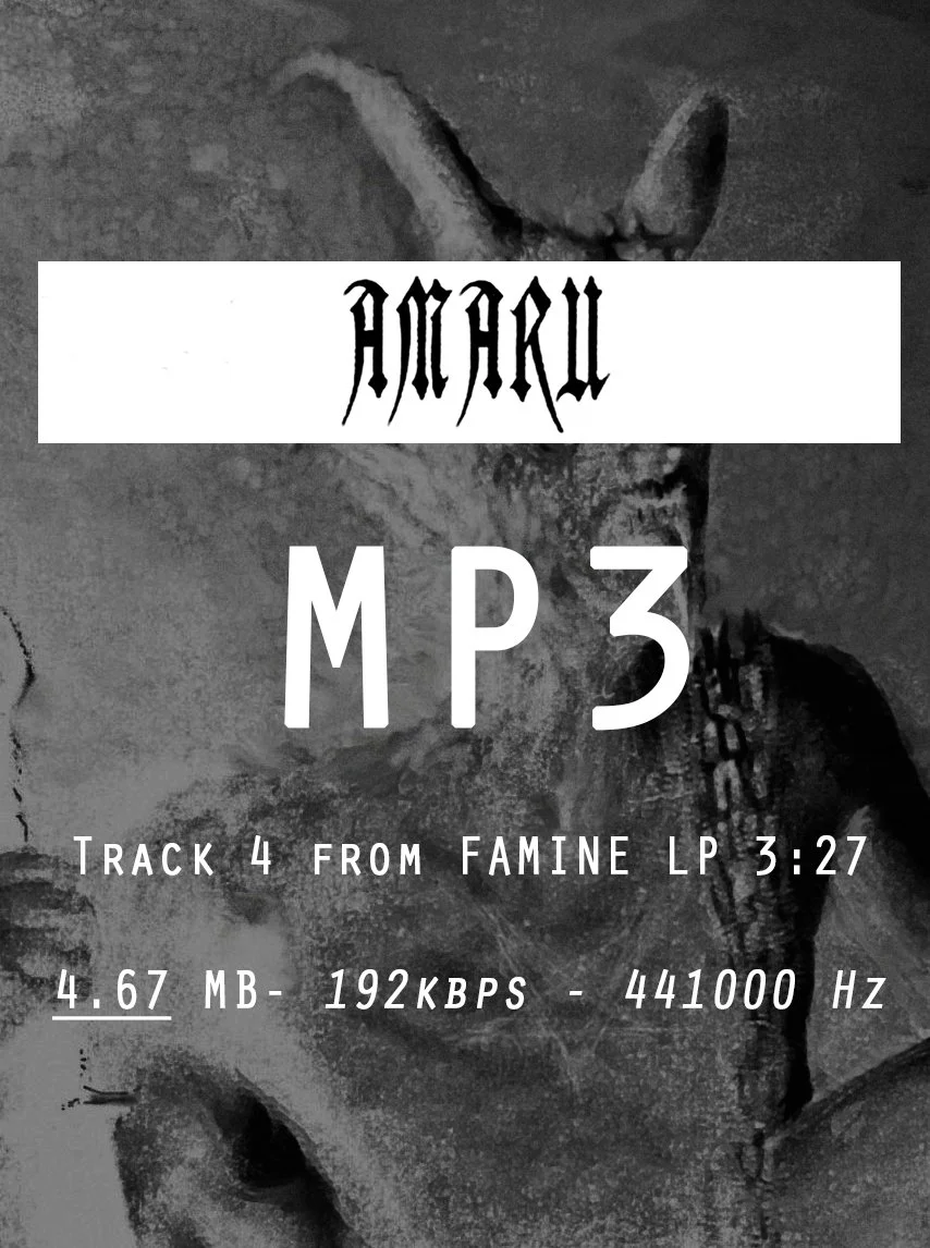 04 AMARU MP3