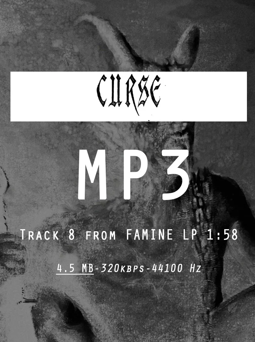 08 CURSE MP3