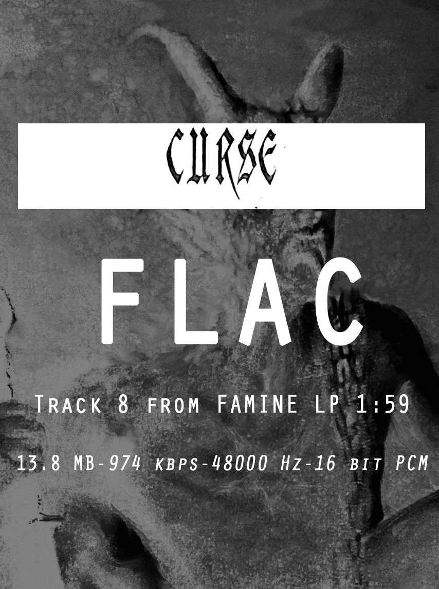 08 CURSE FLAC