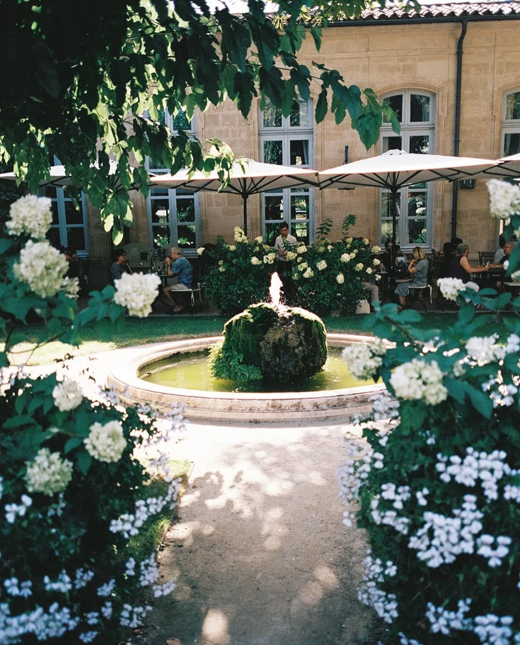 Current daydream&hellip; warmer days in Provence. ☀️