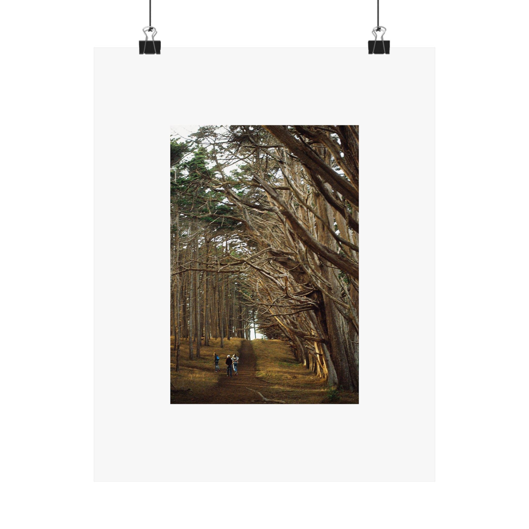https://i.etsystatic.com/57149979/r/il/8100ea/6603501454/il_fullxfull.6603501454_7gtg.jpg