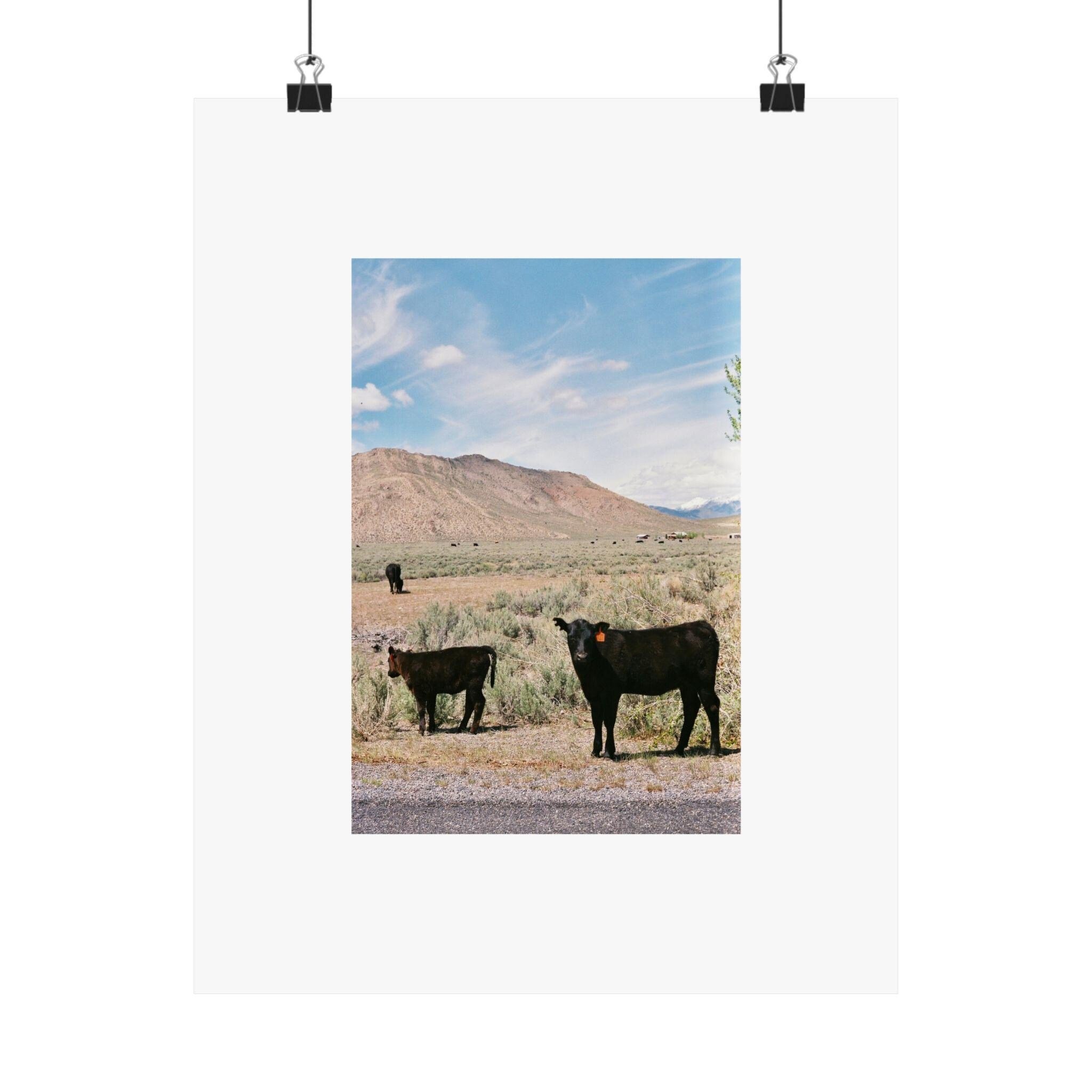 https://i.etsystatic.com/57149979/r/il/81b548/6603413038/il_fullxfull.6603413038_o05j.jpg