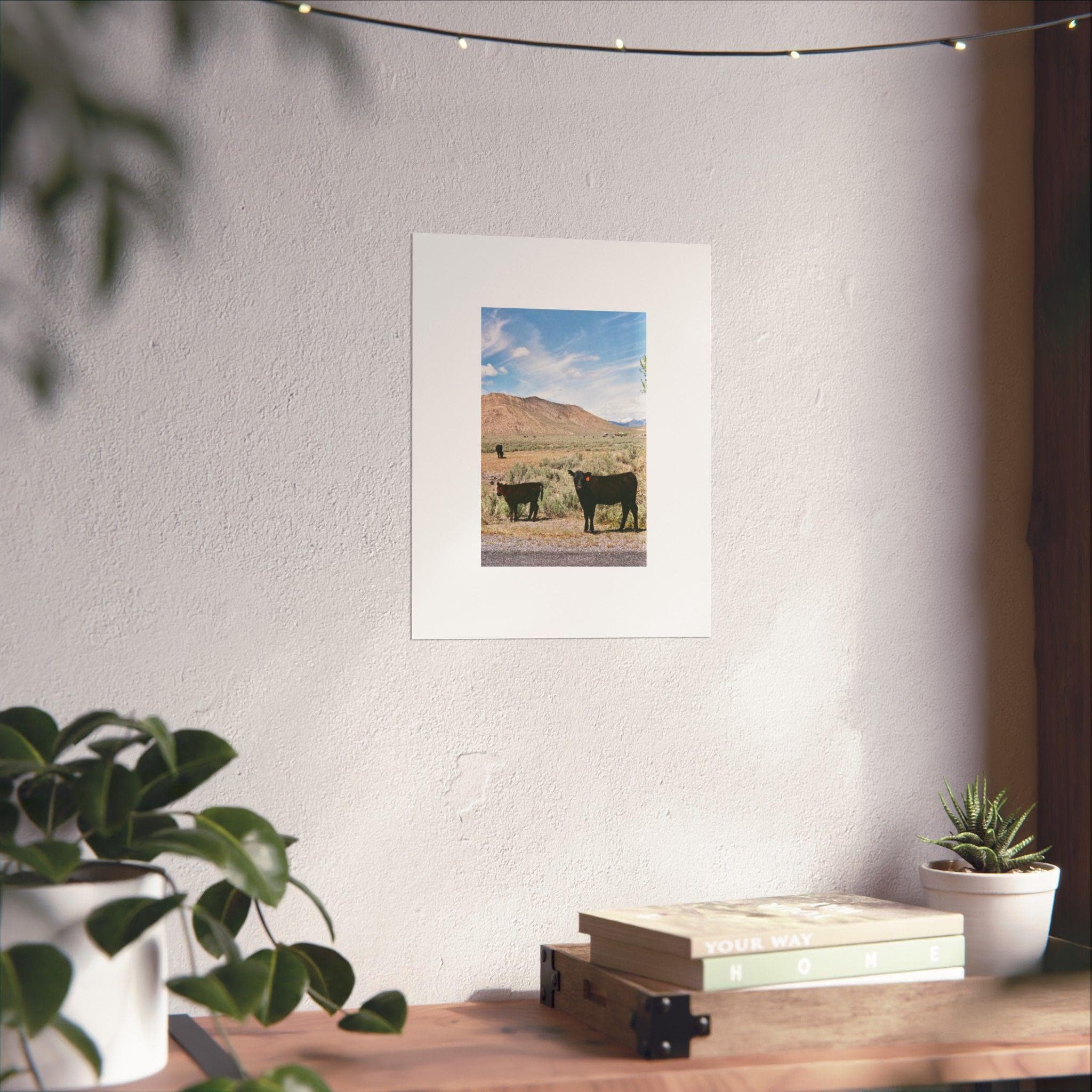 https://i.etsystatic.com/57149979/r/il/f3c8e4/6651513825/il_fullxfull.6651513825_4mgz.jpg