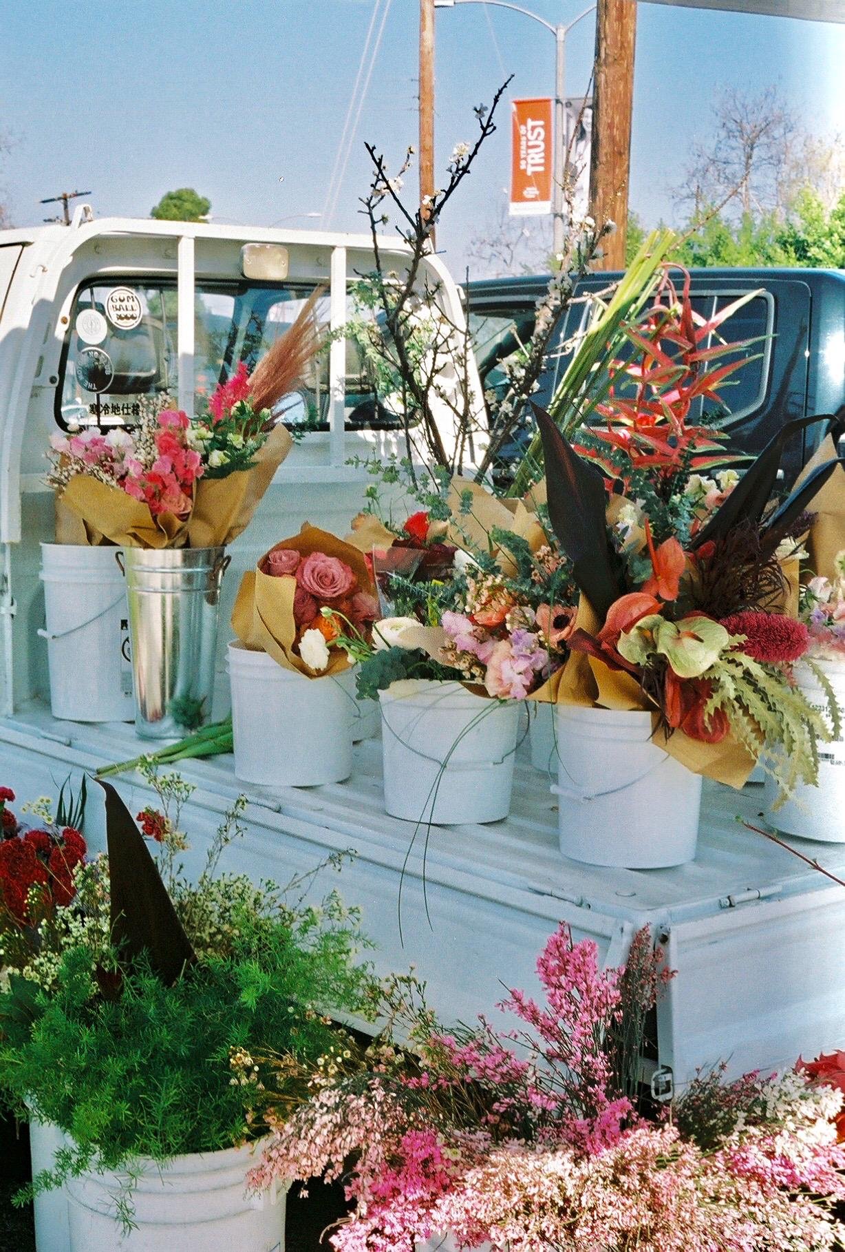 https://i.etsystatic.com/57149979/r/il/8ba3b9/6641901399/il_fullxfull.6641901399_d1kb.jpg