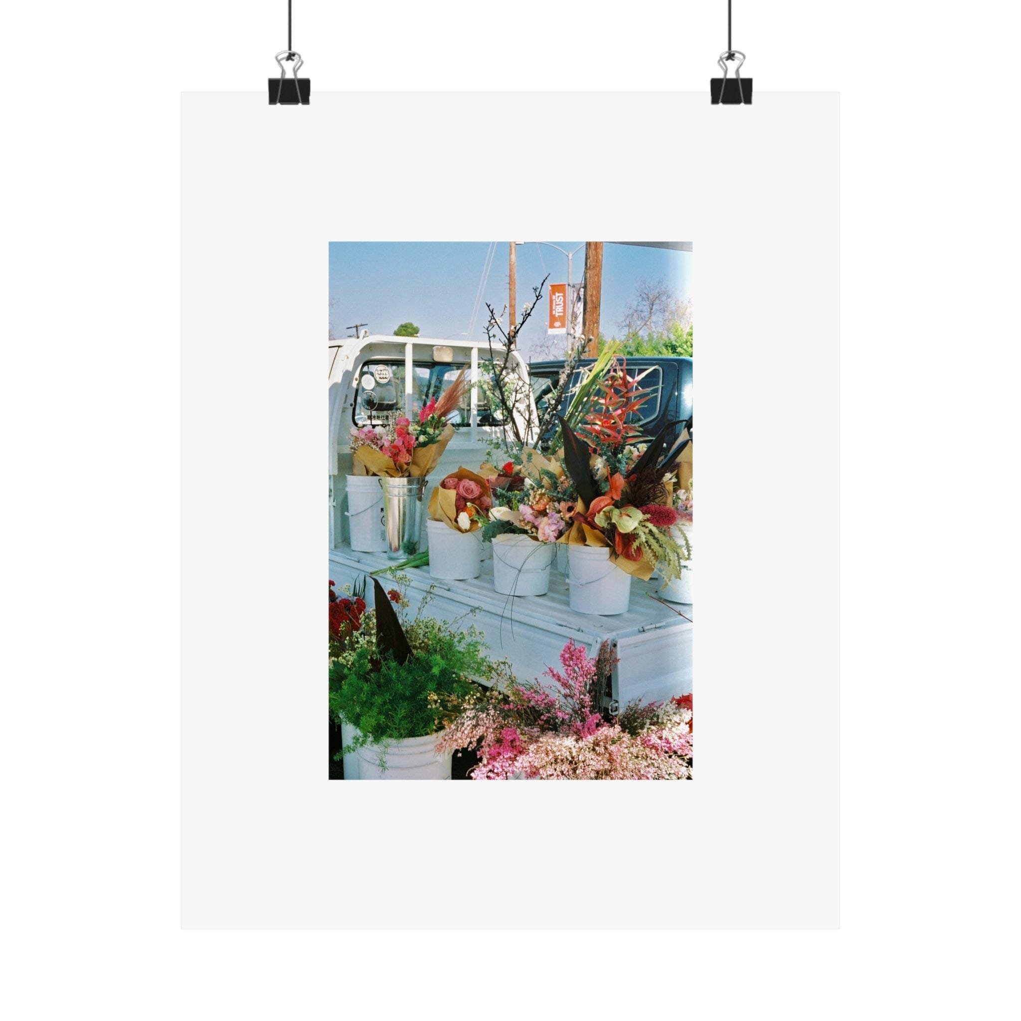 https://i.etsystatic.com/57149979/r/il/7a5e86/6641928667/il_fullxfull.6641928667_pbi4.jpg