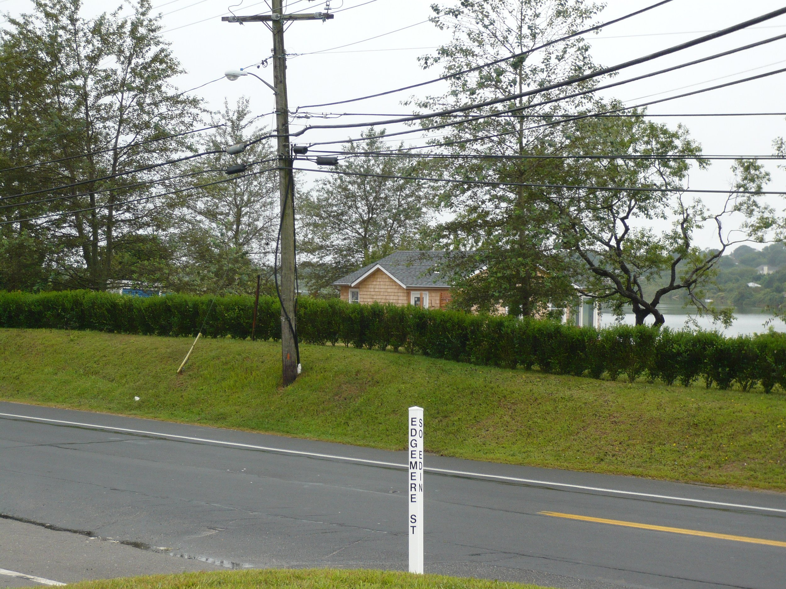 new-hedges_2812139486_o.jpg