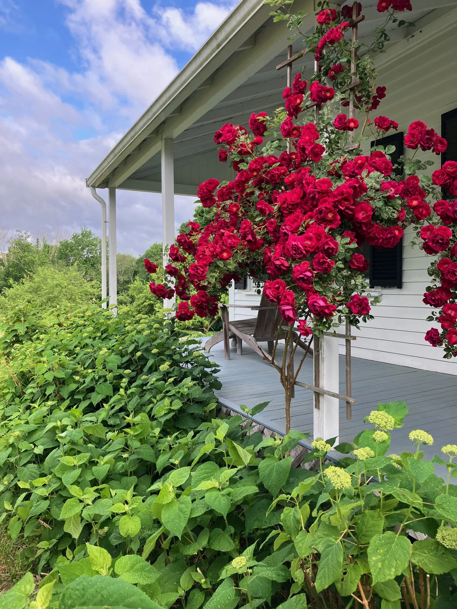 Front porch