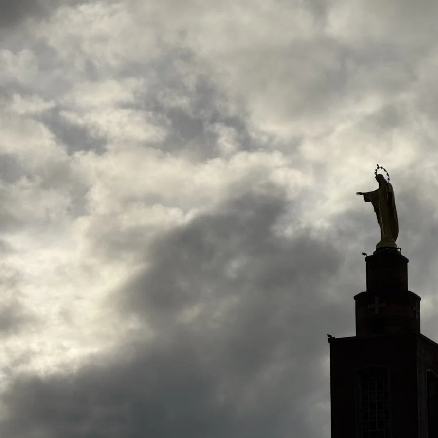 refuge by tom bastasch