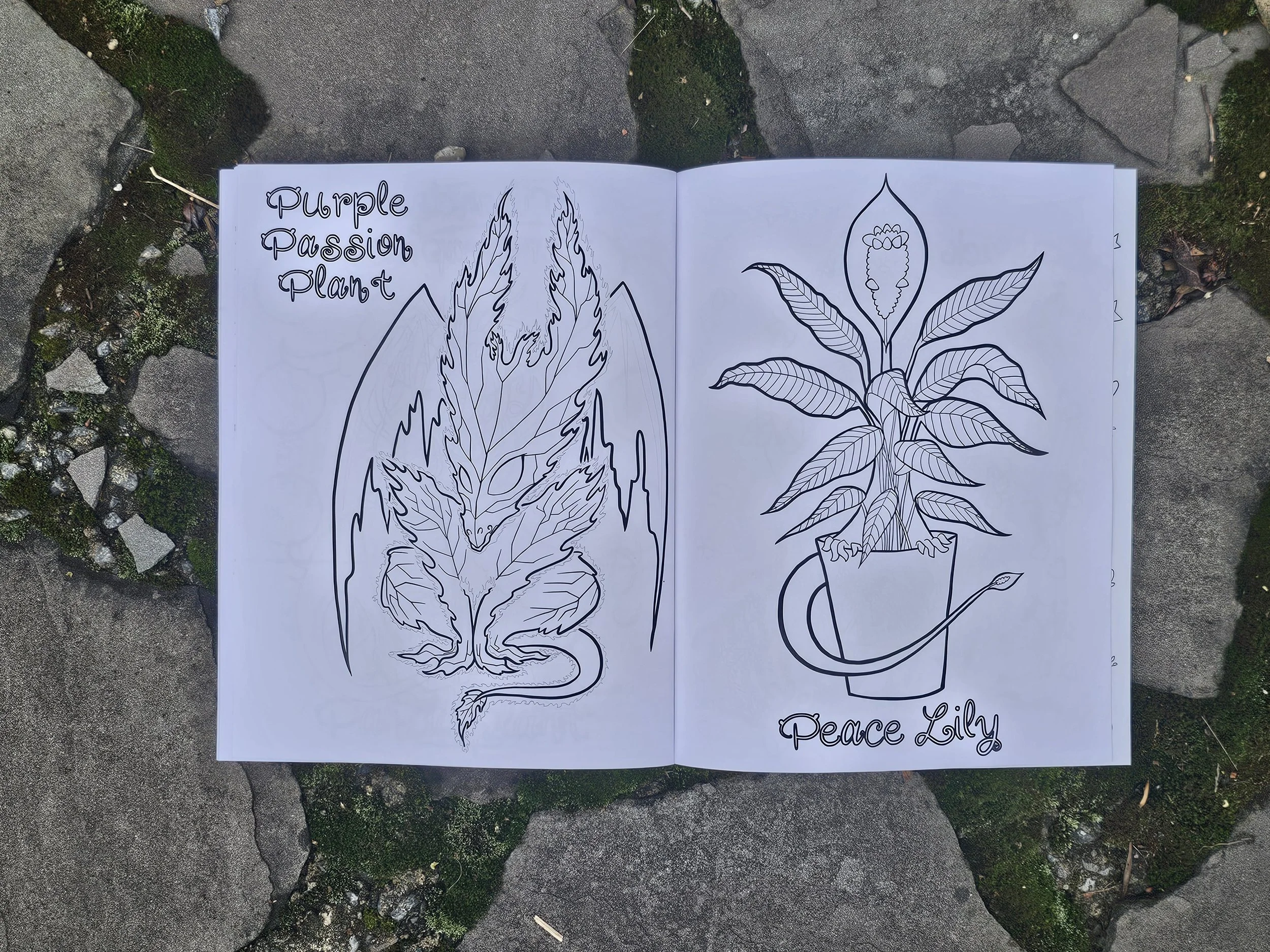 Pages from HD coloring book 3.jpg