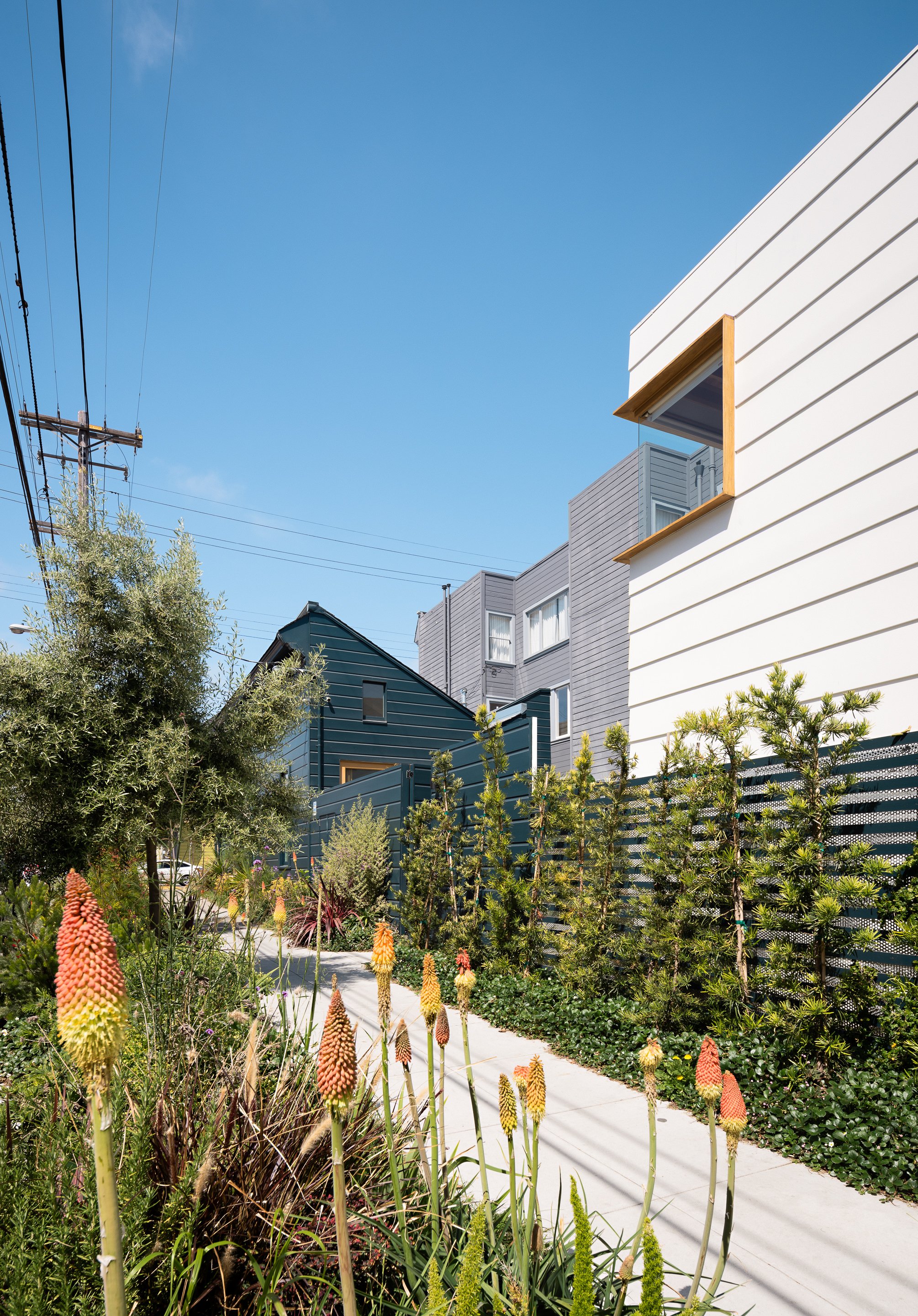 RyanLeidnerArchitecture_FigHouse-8.jpg