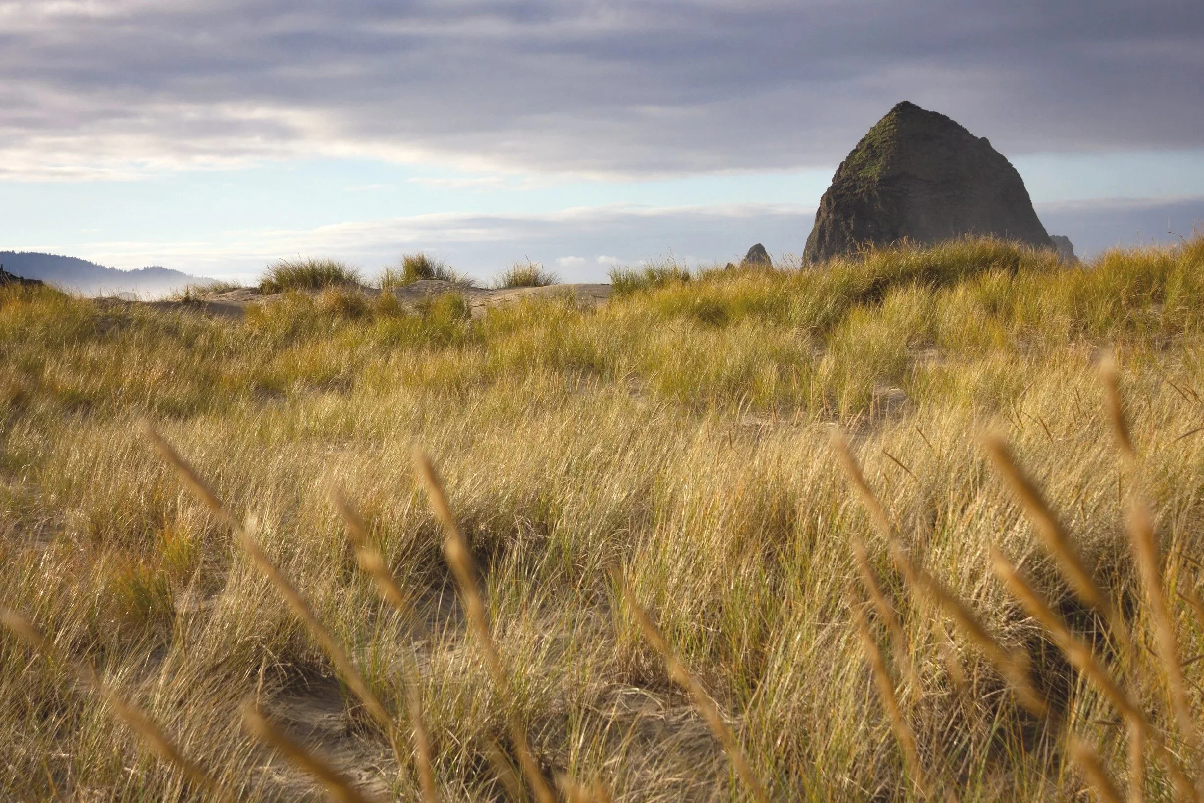 Haystck_dunes_WSS_2021-1.jpg