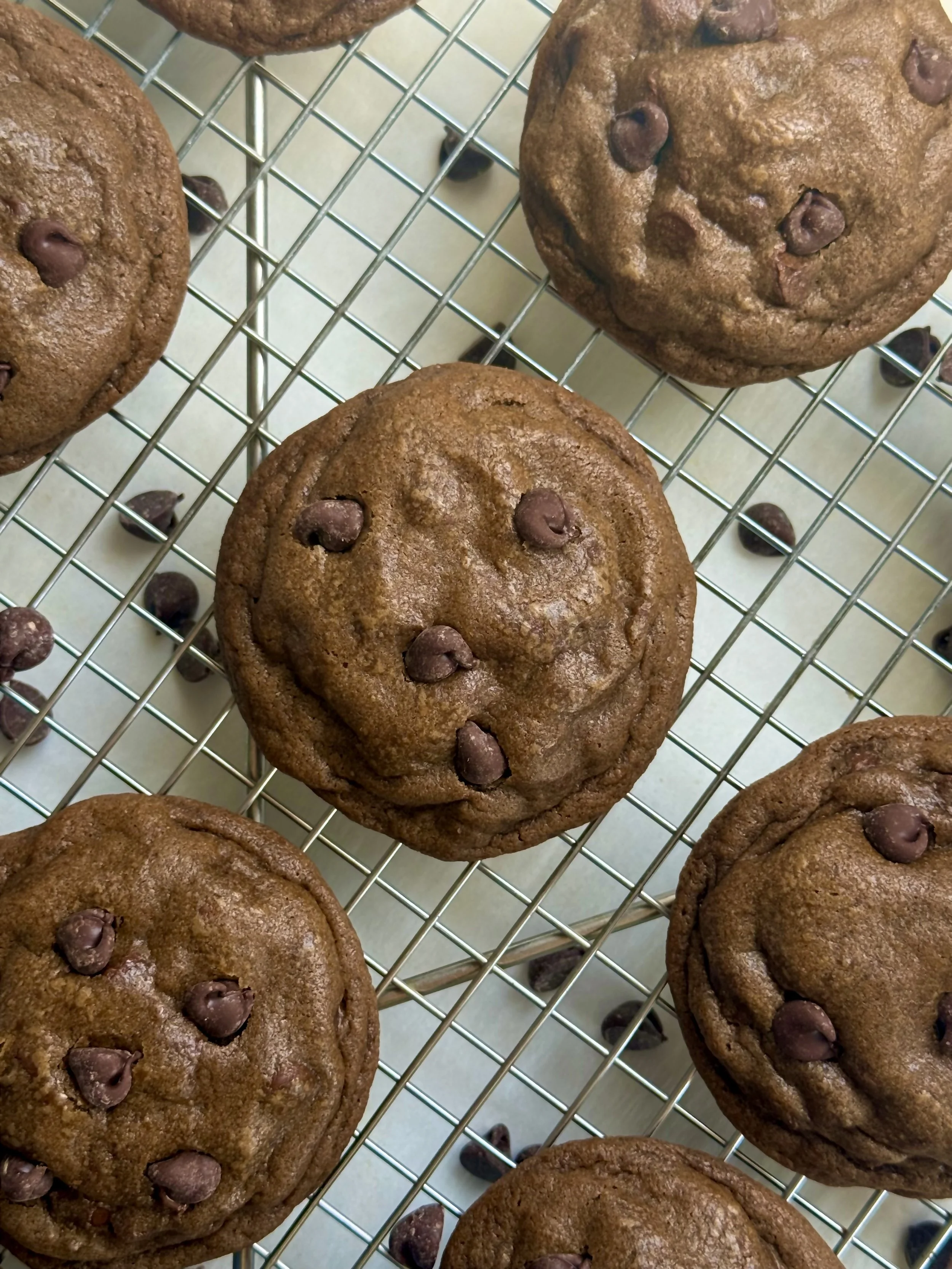 Fudgy Double Chocolate Cookies