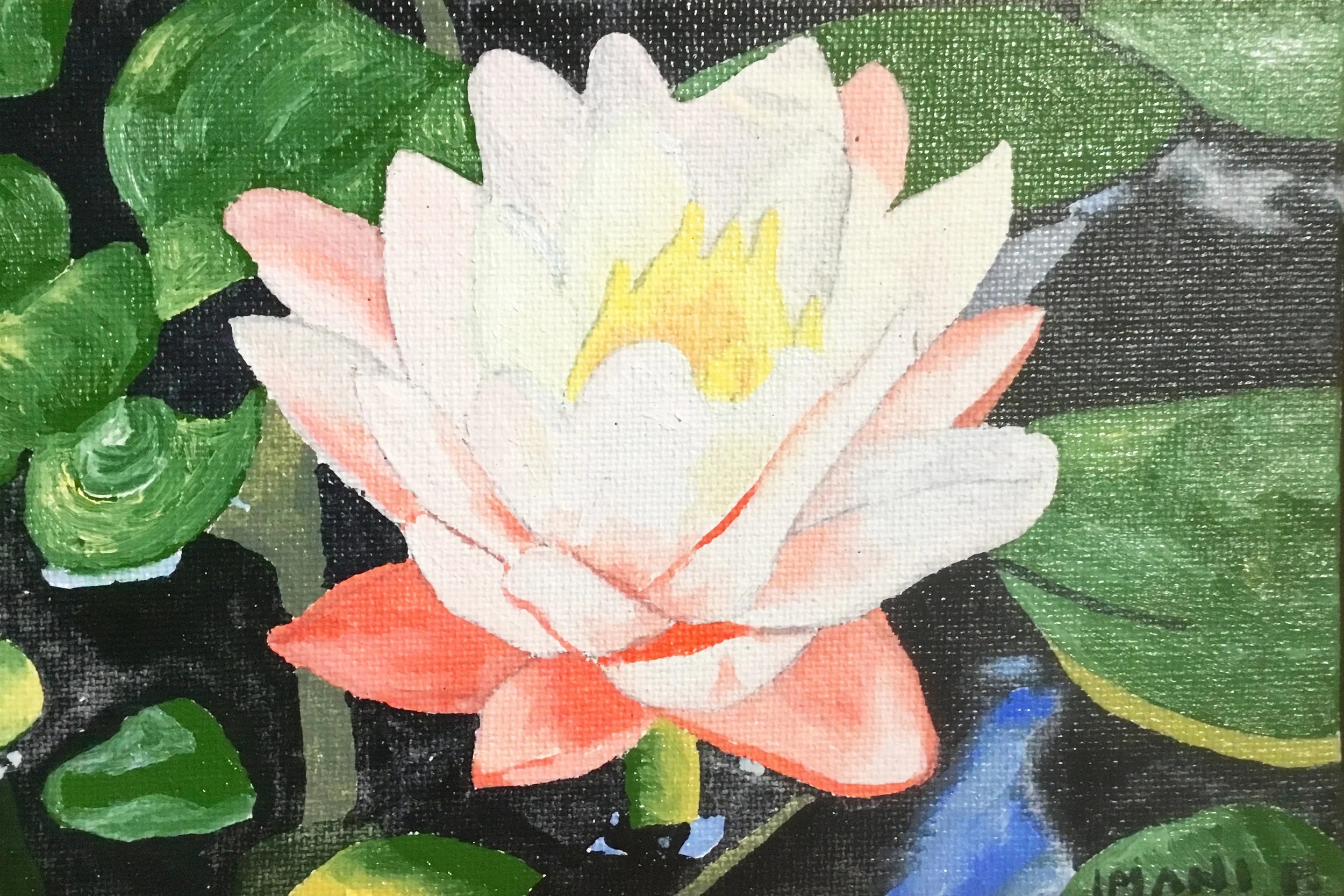 THE LILIES OF THE FIELD