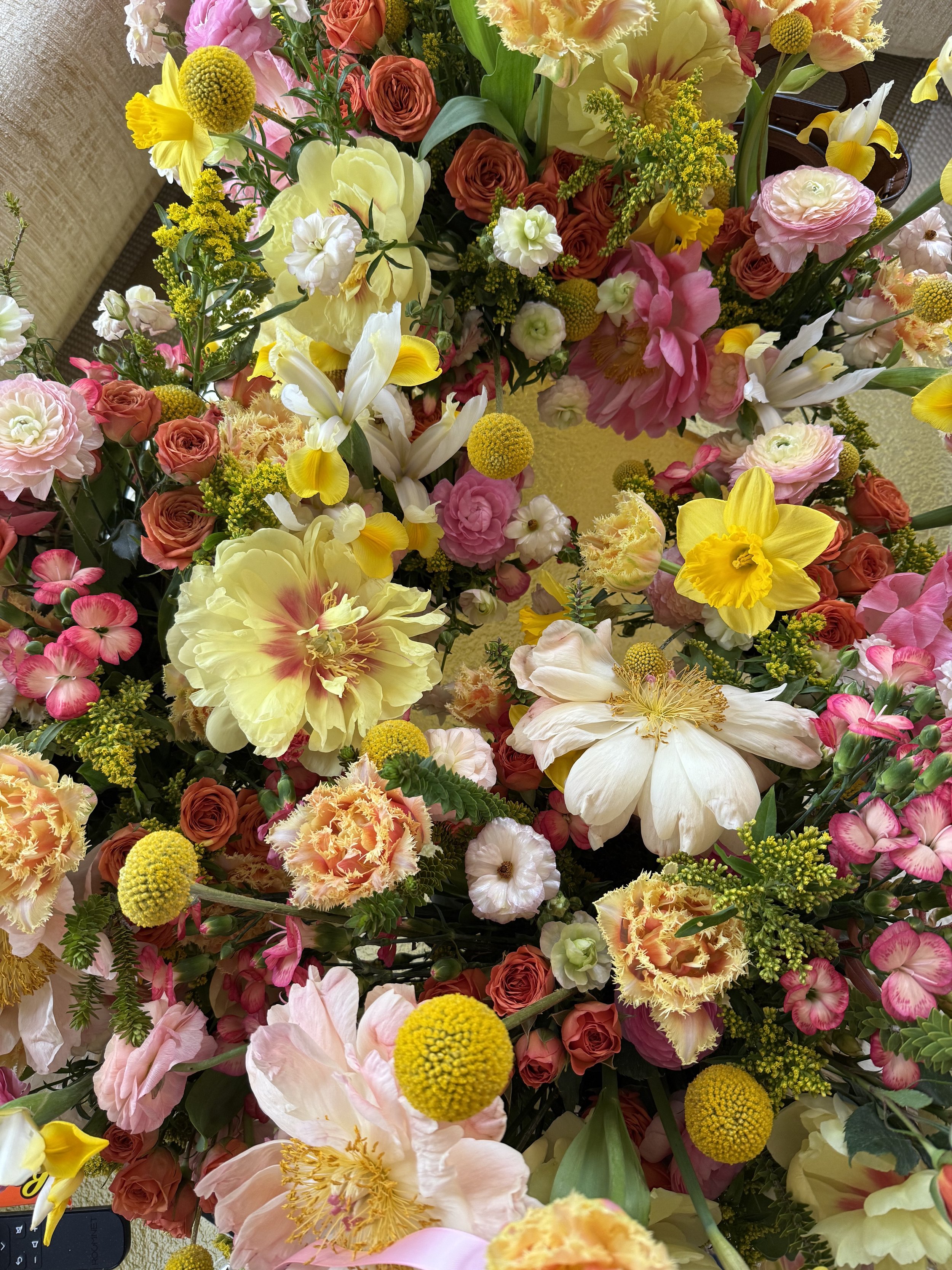 IMG_1058.jpeg