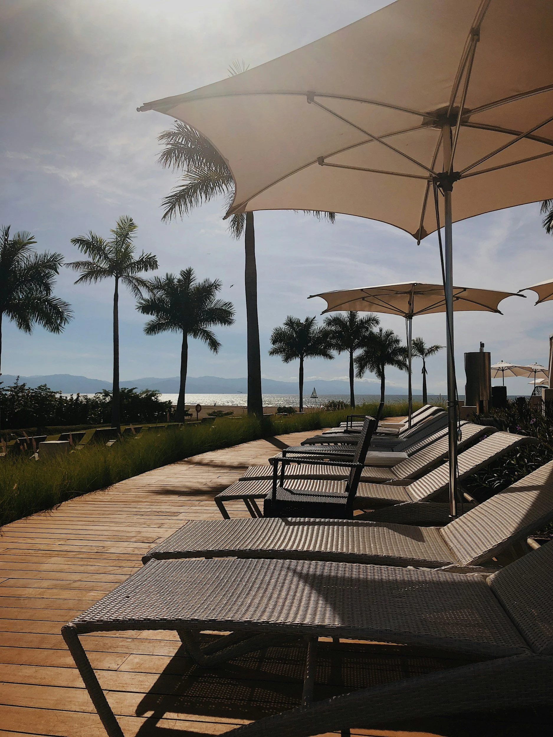 Outdoor patio with lounge chairs, large umbrellas, and palm trees overlooking a seaside view.