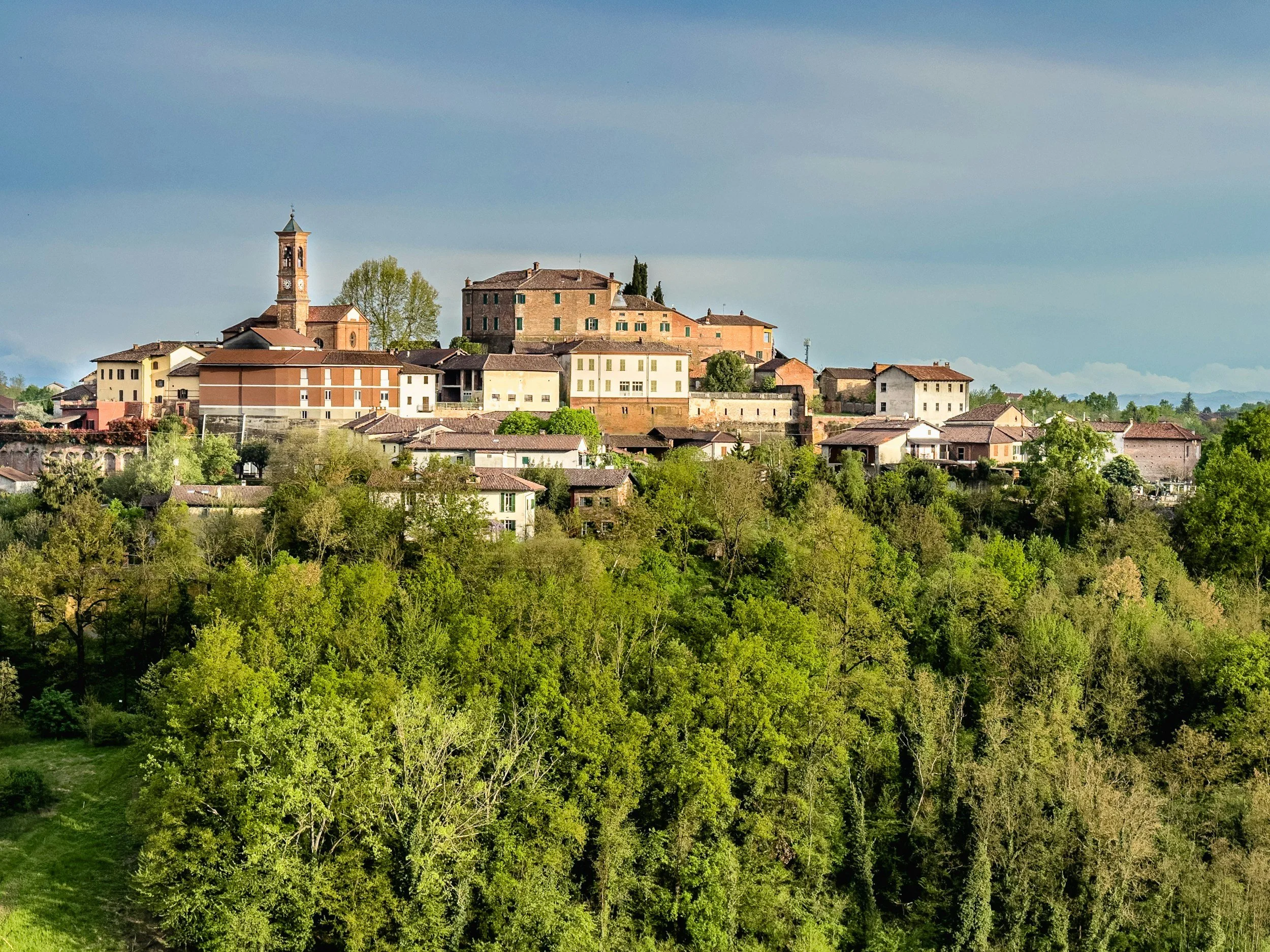 Piedmont