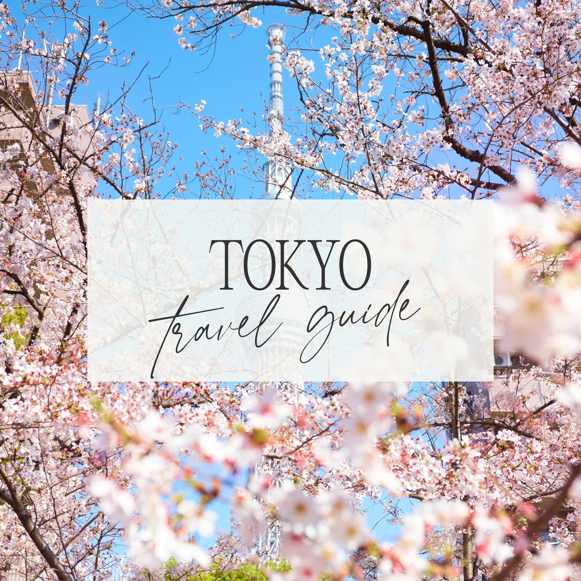 Tokyo Travel Guide