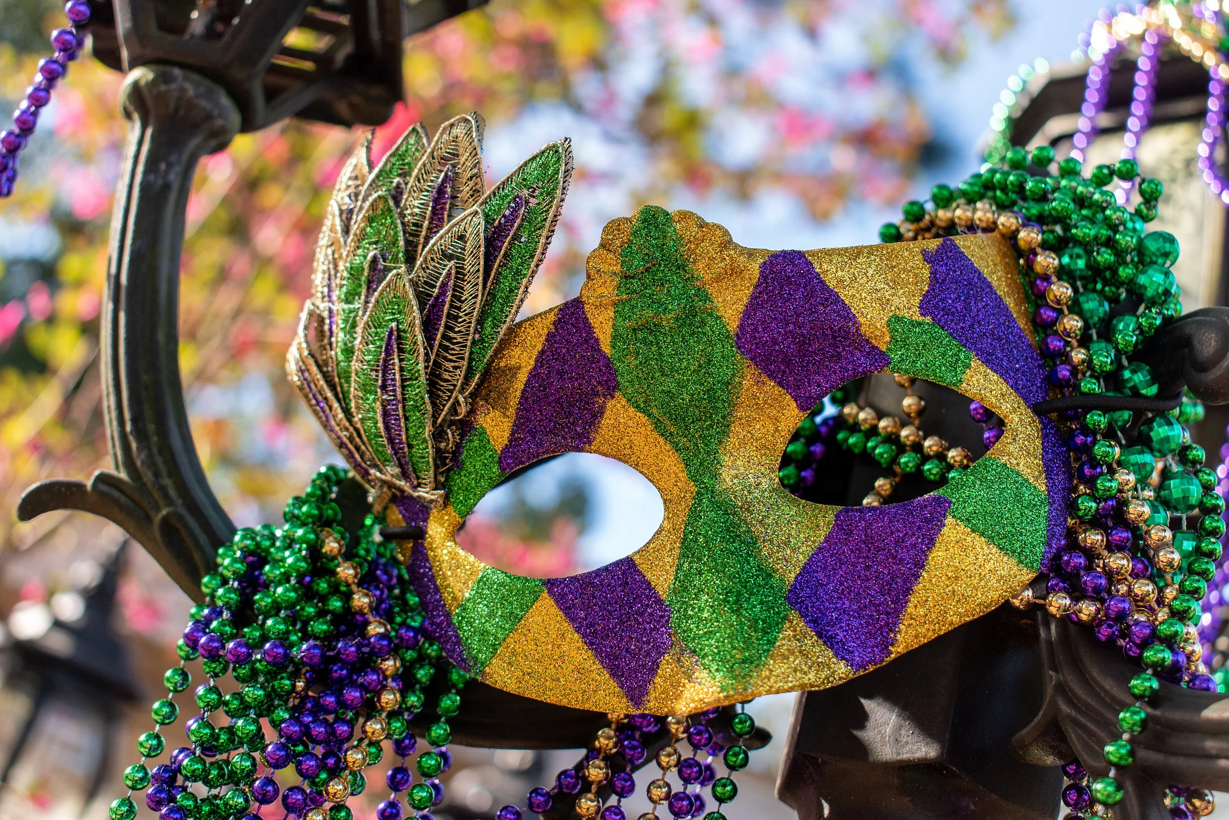 Celebrate Mardi Gras The Big Emmett Style