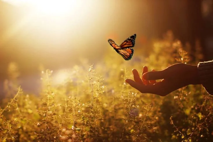 Healing happens from the inside out 