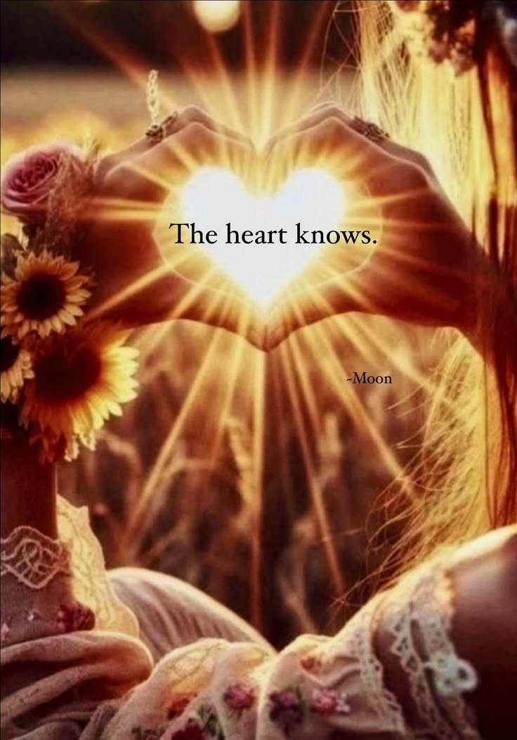 Heart wisdom & frequency 