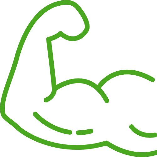 Physiotherapy and injury rehabilitation