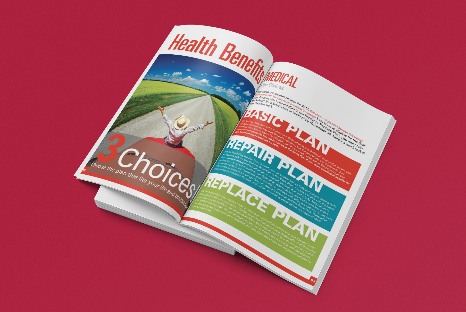 Annual Enrollment Booklet for Safelite