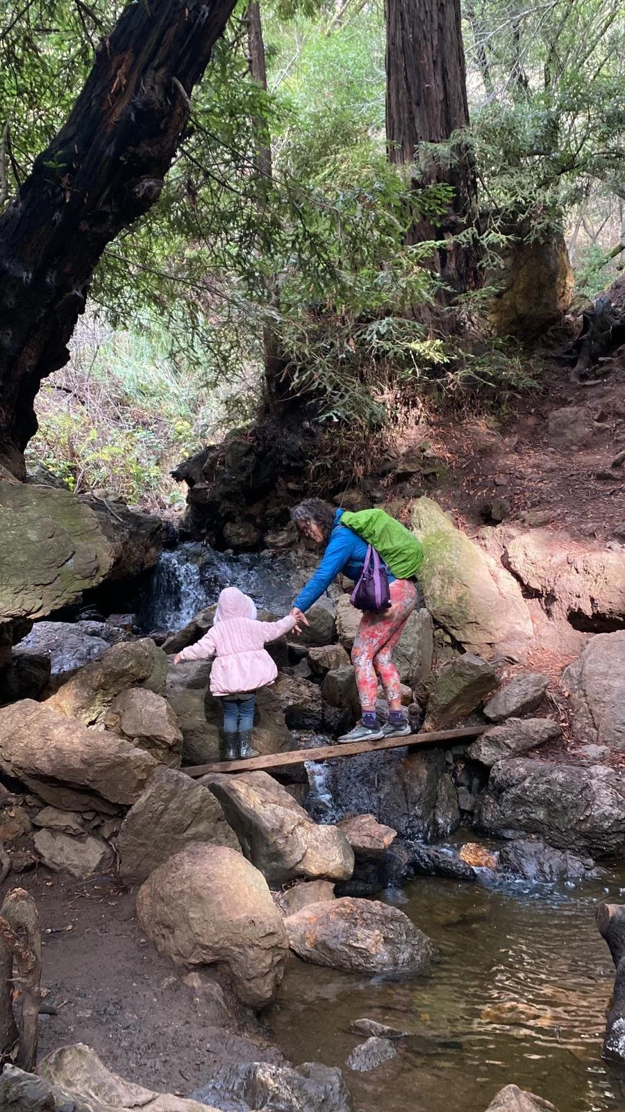 A parent helping a child across creek rocks below a small waterfall in an East Bay redwood forest.