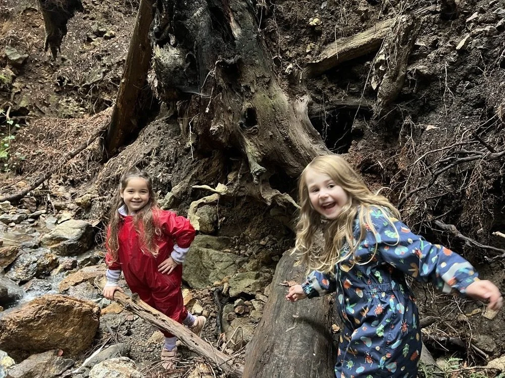 Two smiling children in rain suits climbing among rocks and roots in an East Bay redwood forest.