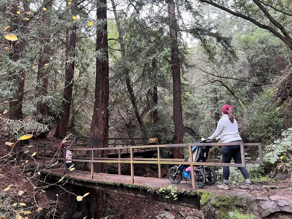 A parent pushing a stroller across a wooden footbridge in an East Bay redwood forest.