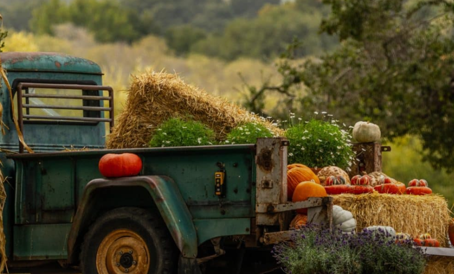 An old green truck loaded with hay bales and pumpkins at Filoli.