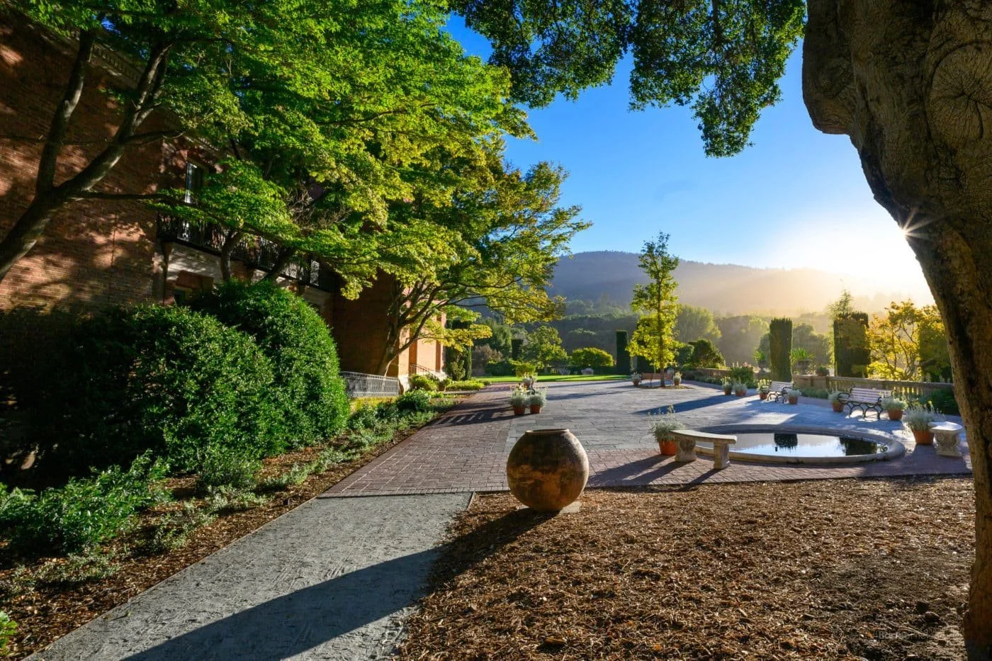 A sunlit garden terrace with a pool and a view of the hills at Filoli.