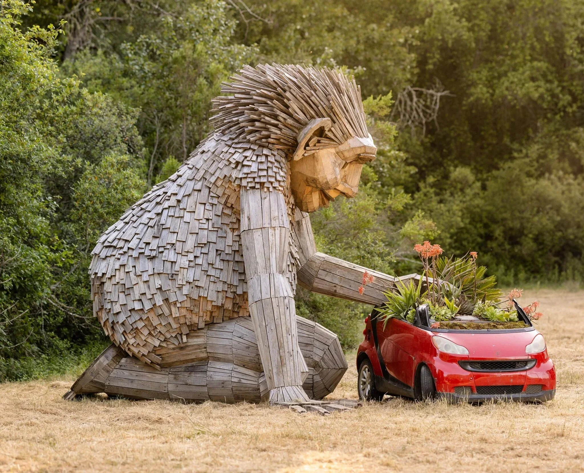 A giant wooden troll sculpture kneeling beside a small red car planted with flowers at Filoli.