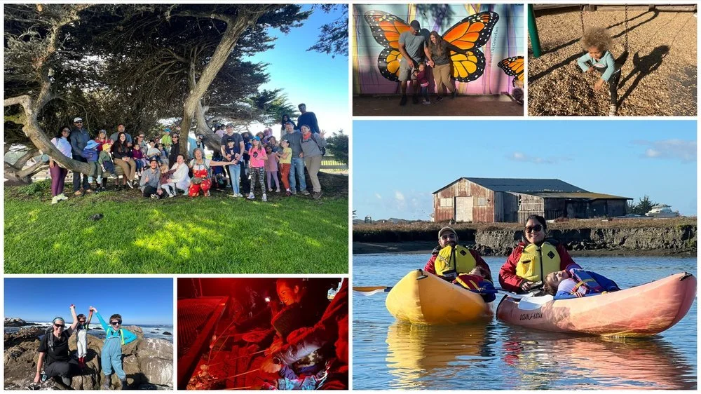 Collage in Monterey: families under cypress trees, parents and kids kayaking near an old barn on the water, and a child posing by a monarch butterfly mural.