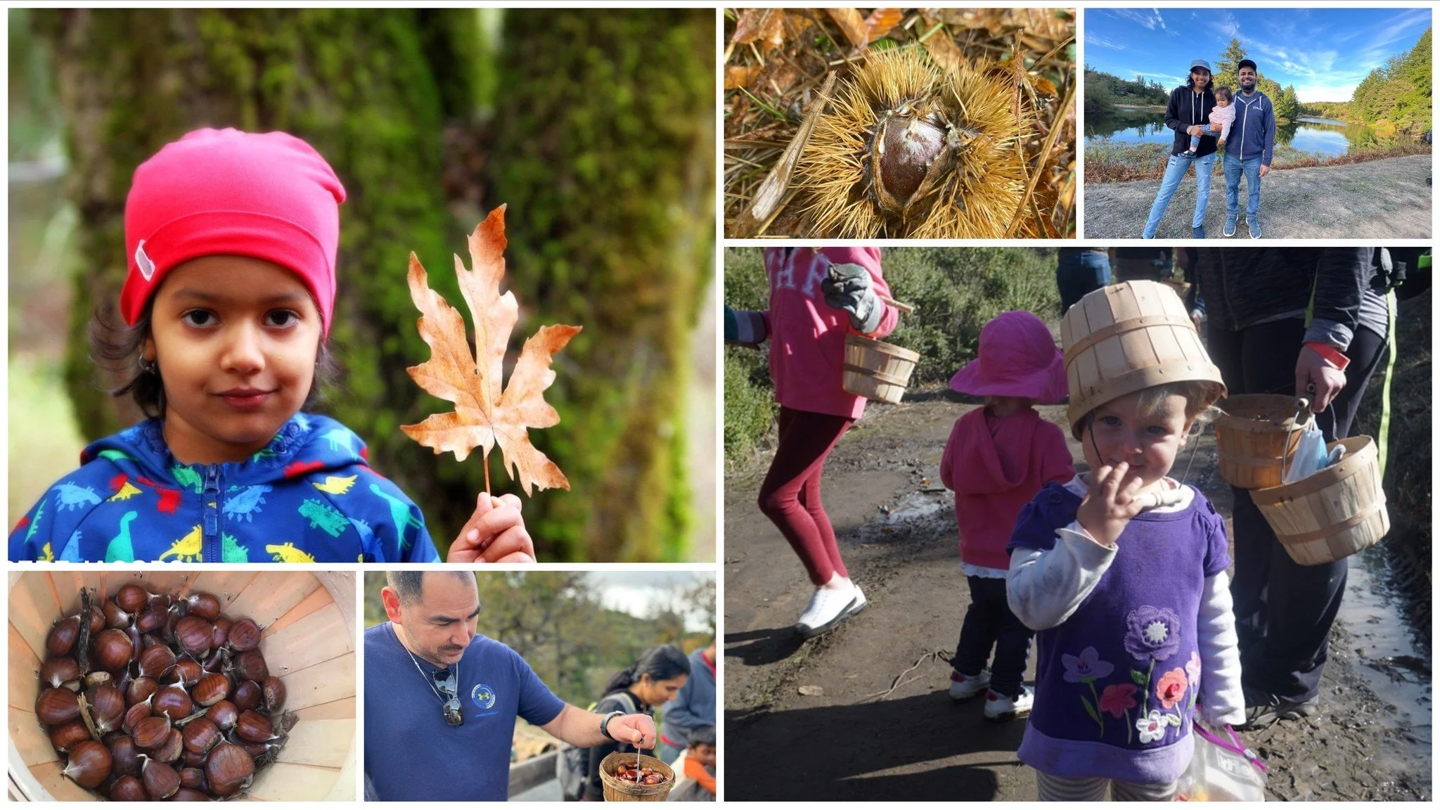 Collage near La Honda: a child holding a fall leaf, chestnuts in spiky husks, a bowl of roasted chestnuts, and children carrying baskets on a trail.