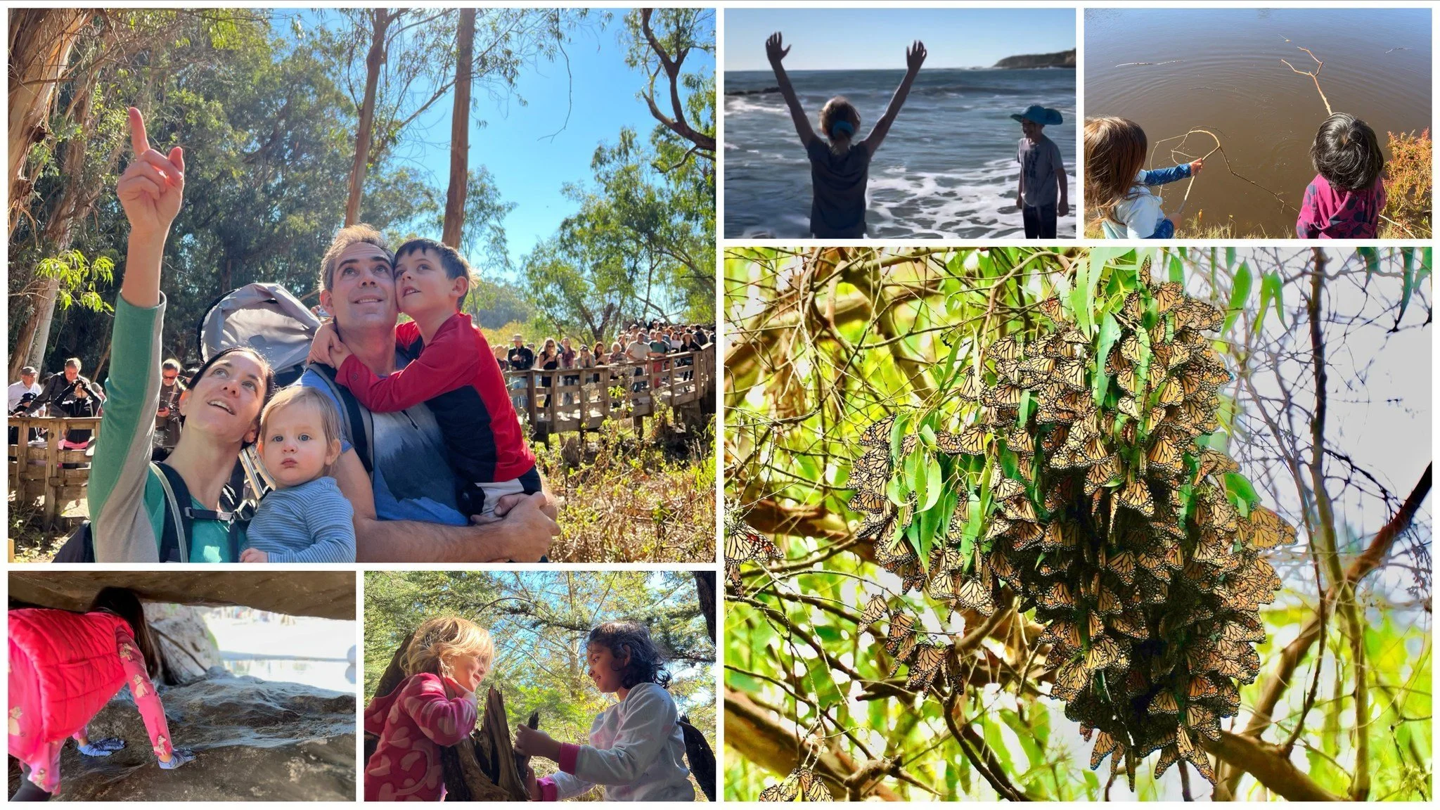 Collage: monarch butterflies clustered on a eucalyptus branch, a child pointing up into the trees, and families exploring the beach and tidepools.
