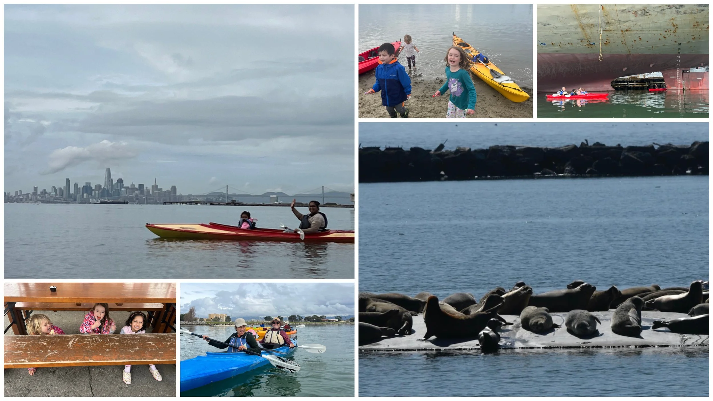 Collage on San Francisco Bay: kayakers with the city skyline behind, harbor seals resting on a float, and children on the shore.
