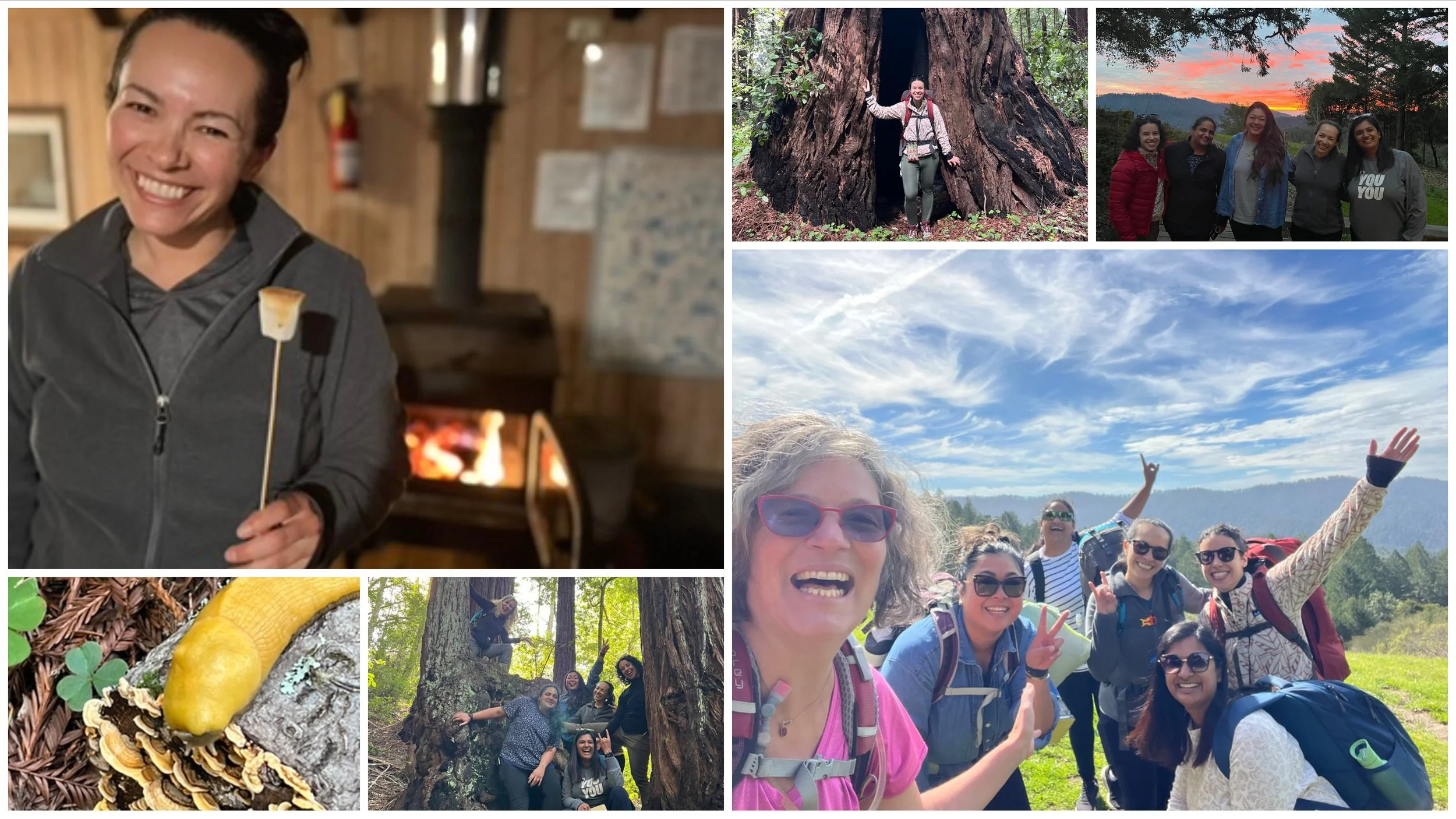 Collage in the Santa Cruz Mountains: a woman roasting a marshmallow by a cabin stove, a banana slug, a giant redwood, and women cheering on a hilltop.